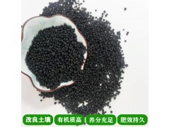 現(xiàn)代農(nóng)業(yè)產(chǎn)業(yè)鏈全景 從種植養(yǎng)殖到綠色發(fā)展的多元化生態(tài)